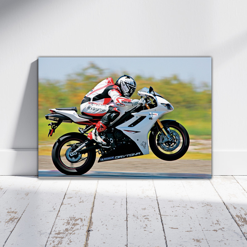 تابلو شاسی بکلیت طرح موتور سنگین Triumph Daytona 675R مدل T-po1519 (2)