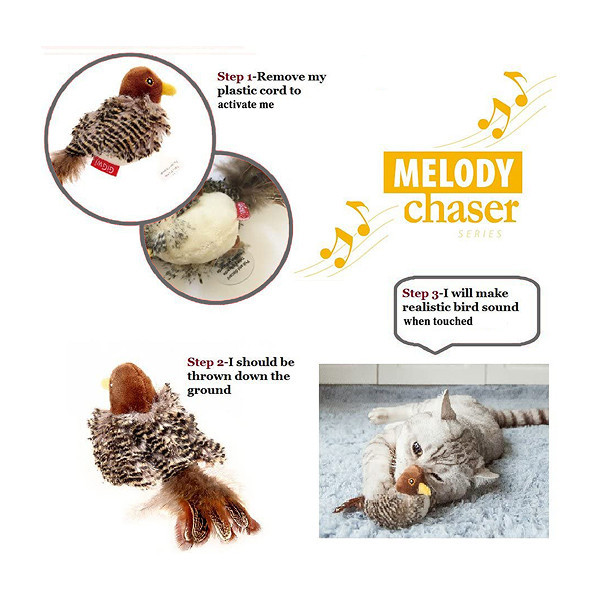 اسباب بازی گربه گیگوی مدل Melody Chaser Bird