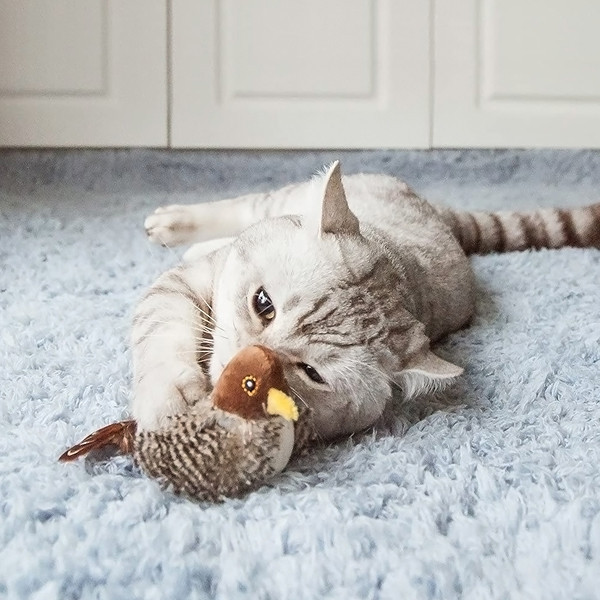 اسباب بازی گربه گیگوی مدل Melody Chaser Bird